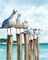 Paint by Numbers Kit for Adults Beginner Seagull Blue Sea Paint by Numbers 16x20 Inch Without Frame Realistic Acrylic Oil Painting Drawing Craft Work Set with Brushes Christmas Gift
